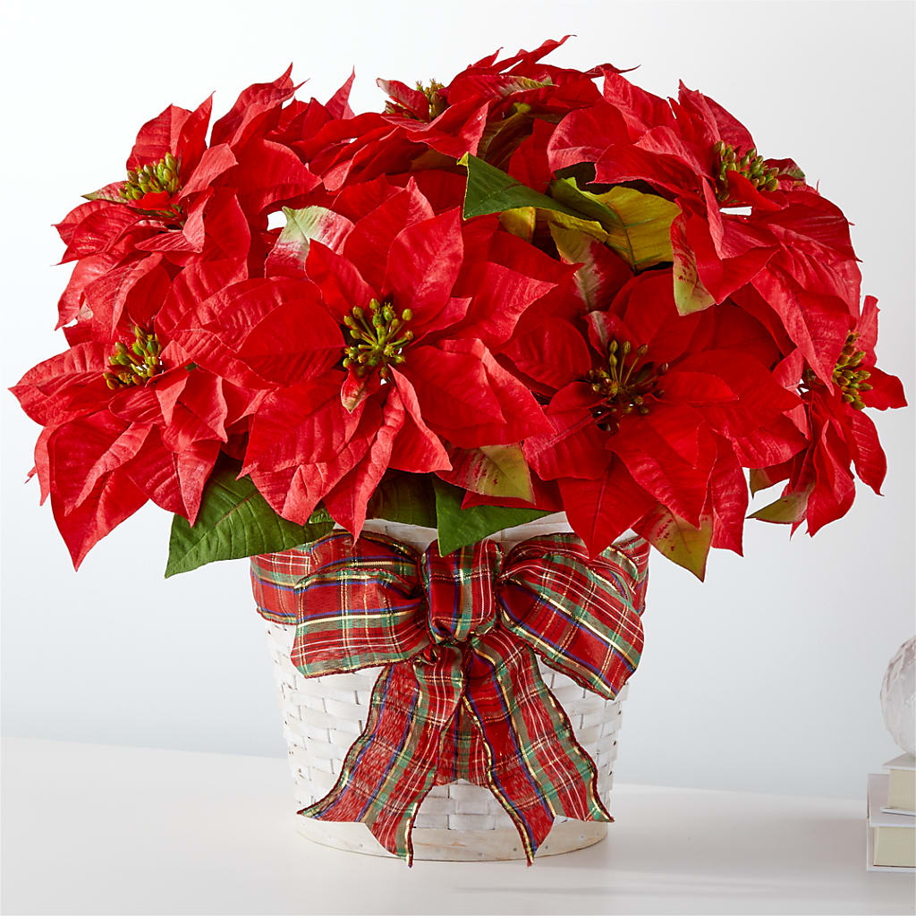 Happiest Holidays Poinsettia – Floral Art Designs, Arlington MA