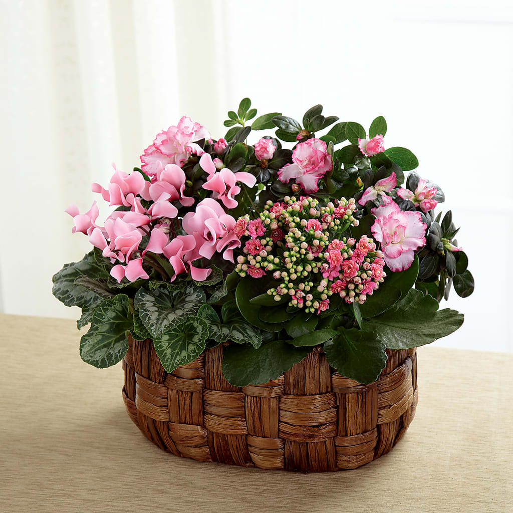 Pink Assortment – Floral Art Designs, Arlington MA