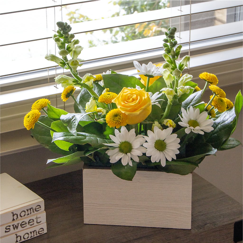 Sun Salutation Box Bouquet – Floral Art Designs, Arlington MA