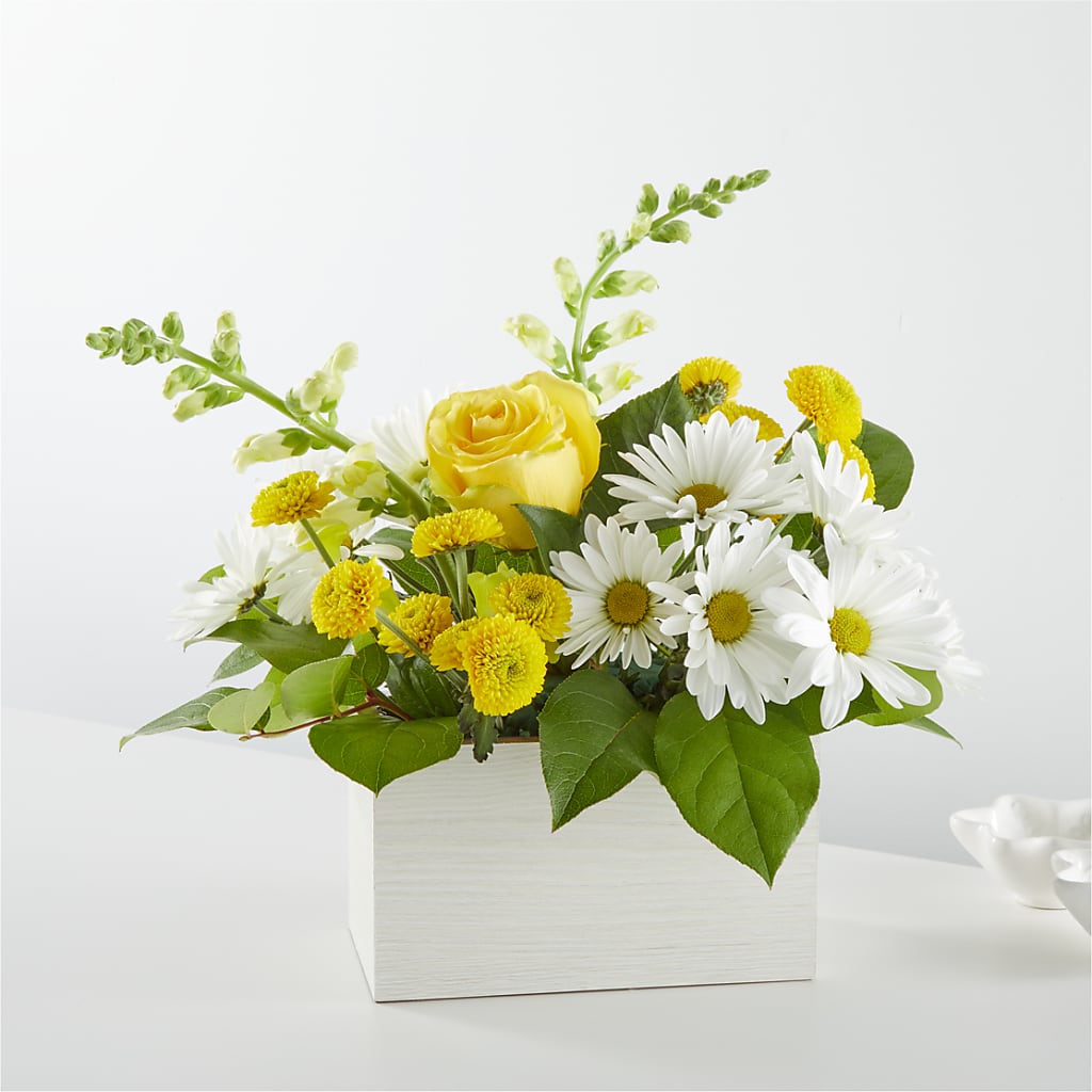 Sun Salutation Box Bouquet – Floral Art Designs, Arlington MA
