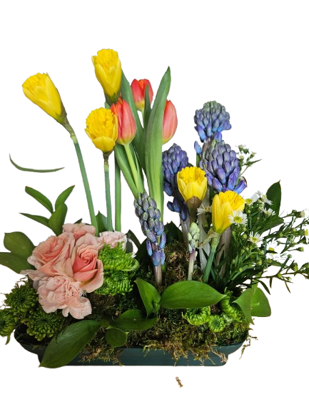 Spring Bulb Blossom Garden – Floral Art Designs, Arlington MA