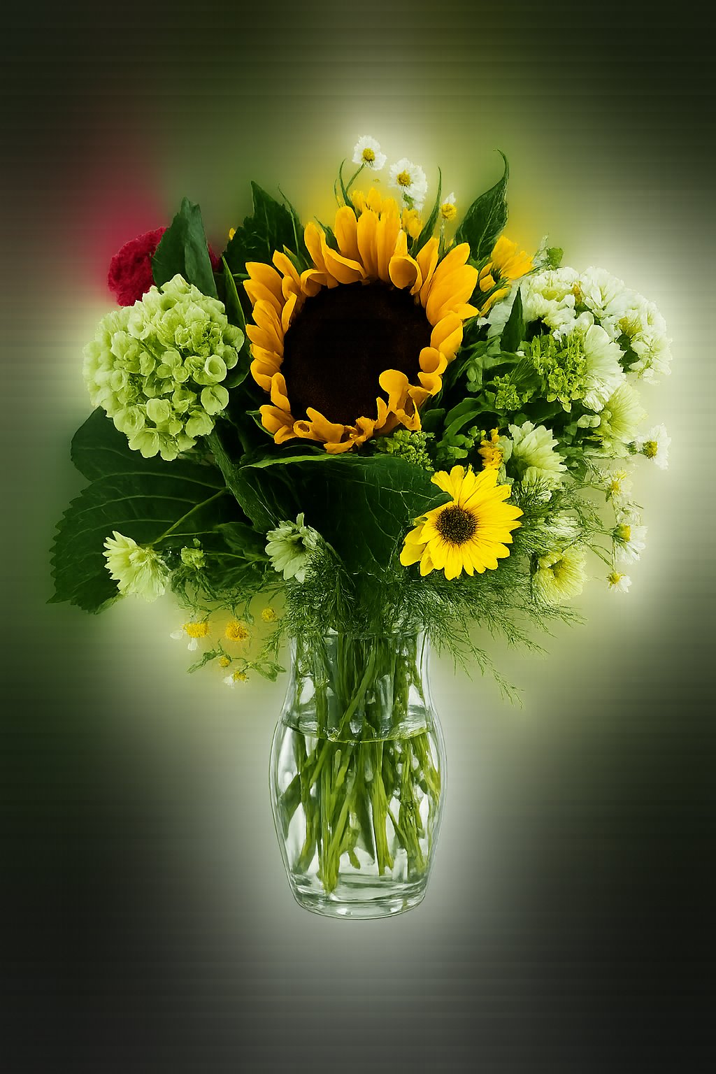 Summer Garden Deal of the day with fudge – Floral Art Designs, Arlington MA