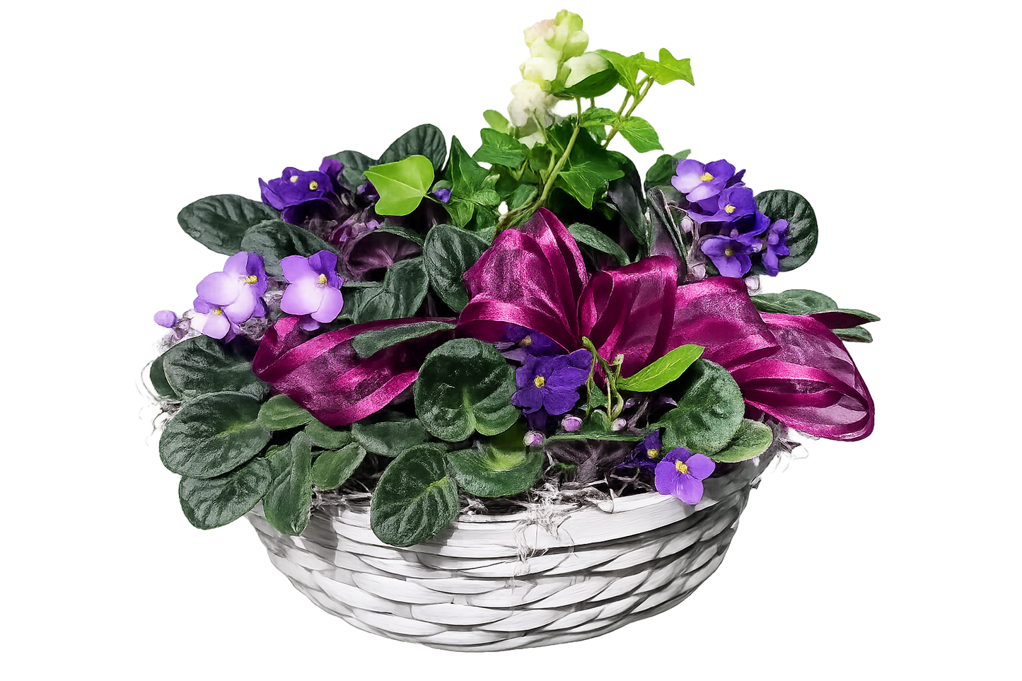 African Violet Basket