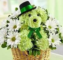 Green Carnation Flower Dog – Floral Art Designs, Arlington MA