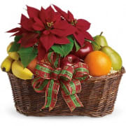 Fresh fruit and Poinsettia Basket – Floral Art Designs, Arlington MA