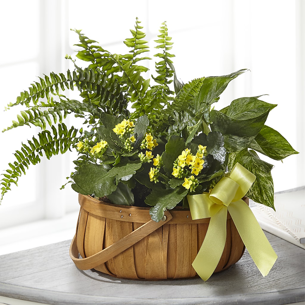 Always Dear Dishgarden – Floral Art Designs, Arlington MA