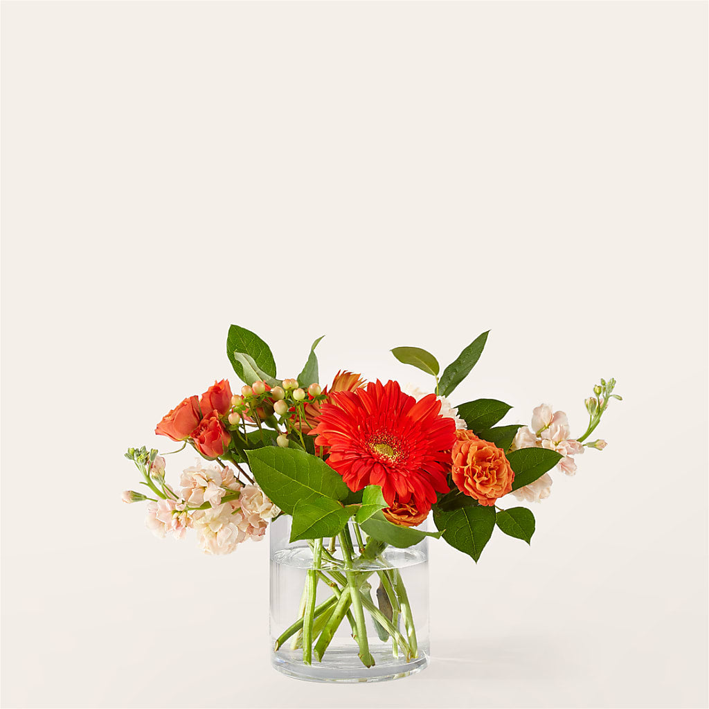 Paloma Please Bouquet – Floral Art Designs, Arlington MA