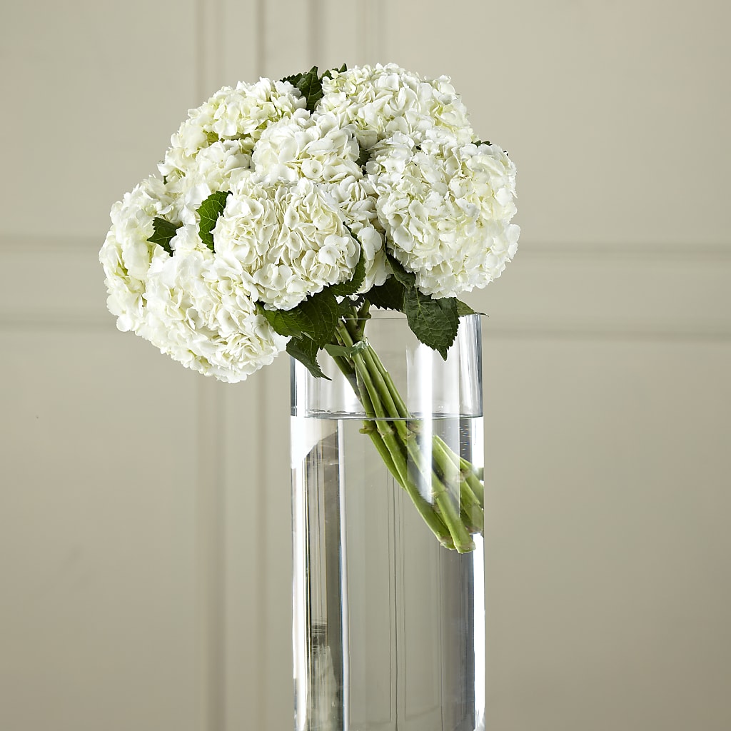 White Hydrangea Hand-Tied Bouquet – Floral Art Designs, Arlington MA