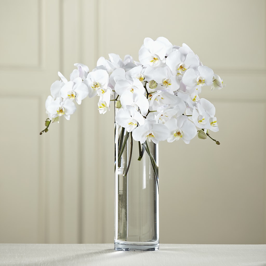 White Phalaenopsis Bouquet – Floral Art Designs, Arlington MA