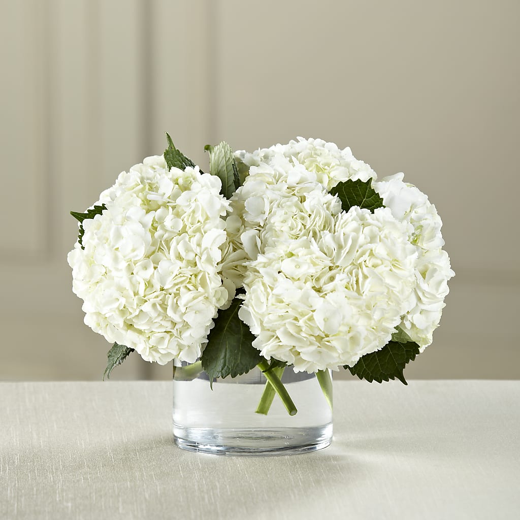White Hydrangea Bouquet – Floral Art Designs, Arlington MA