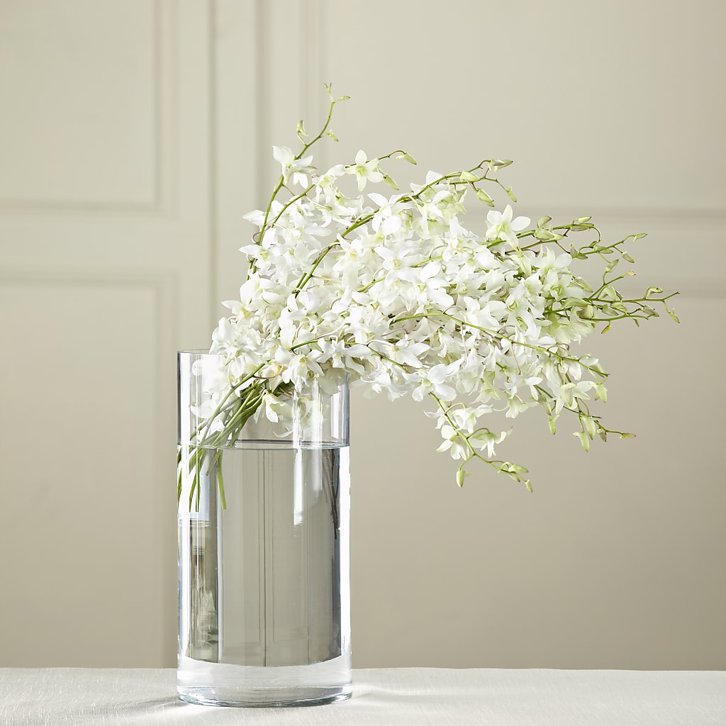White Dendrobium Bouquet – Floral Art Designs, Arlington MA