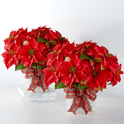 Happiest Holidays Poinsettia Bundle –  Floral Art Designs, Arlington MA