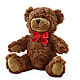 Adorable Plush Bear –  Floral Art Designs, Arlington MA