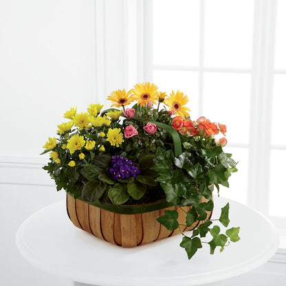 Gentle Blossoms Basket –  Floral Art Designs, Arlington MA
