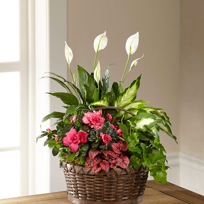 Dream in Pink Dishgarden –  Floral Art Designs, Arlington MA
