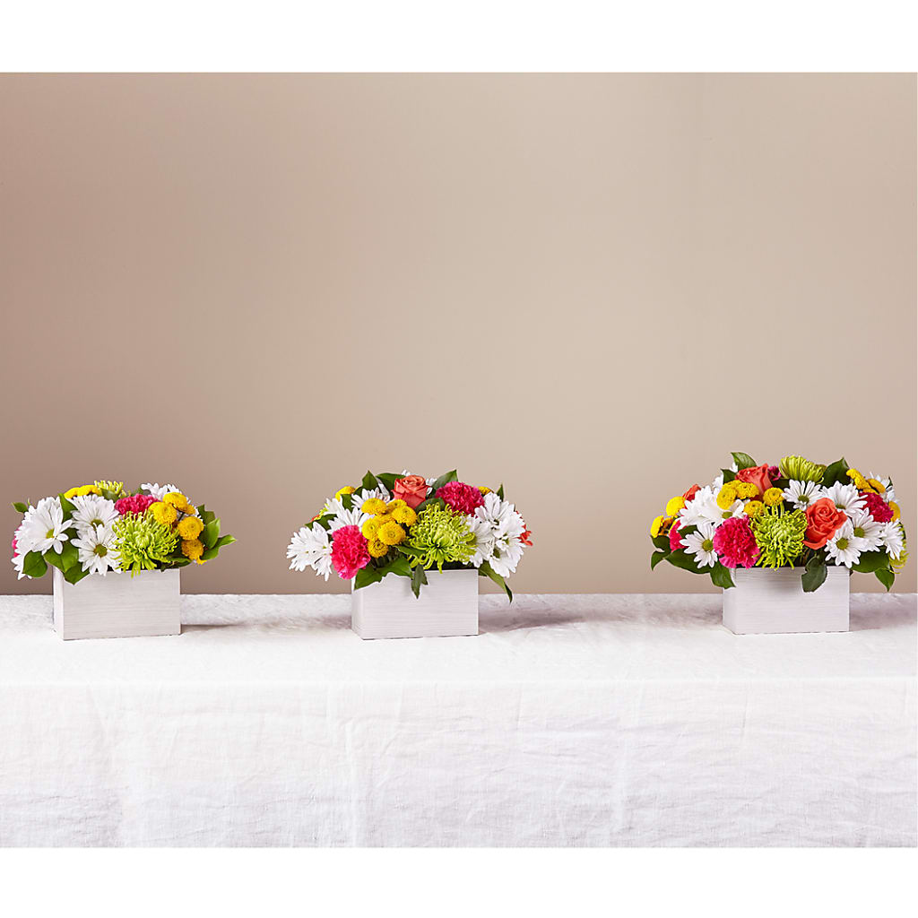 Sorbet Bouquet –  Floral Art Designs, Arlington MA