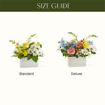 Sun Salutation Box Bouquet –  Floral Art Designs, Arlington MA