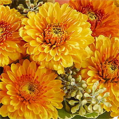 Peachy Pumpkin –  Floral Art Designs, Arlington MA