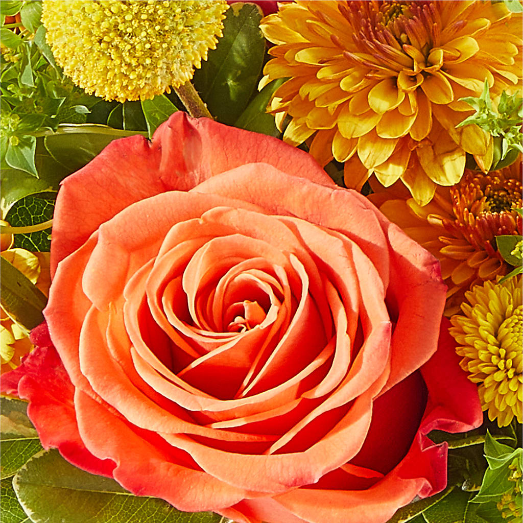 Gourdgeous Pumpkin –  Floral Art Designs, Arlington MA
