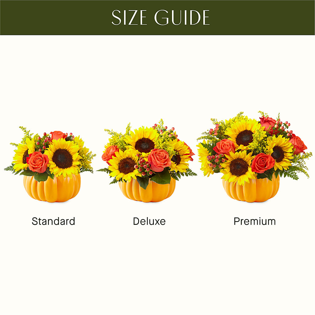 Pick of the Patch Pumpkin Bouquet –  Floral Art Designs, Arlington MA