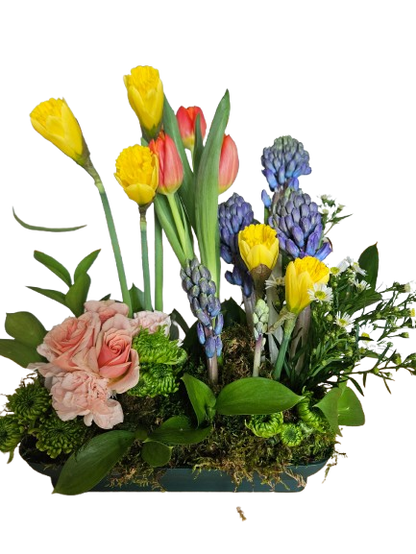 Spring Bulb Blossom Garden –  Floral Art Designs, Arlington MA
