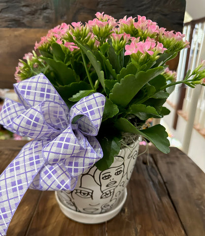 Expressions Of Love Kalanchoe Plant –  Floral Art Designs, Arlington MA