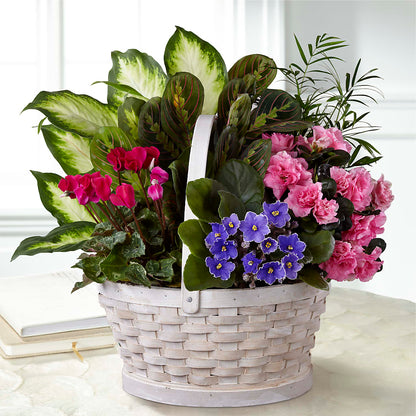 Peaceful Garden Planter –  Floral Art Designs, Arlington MA