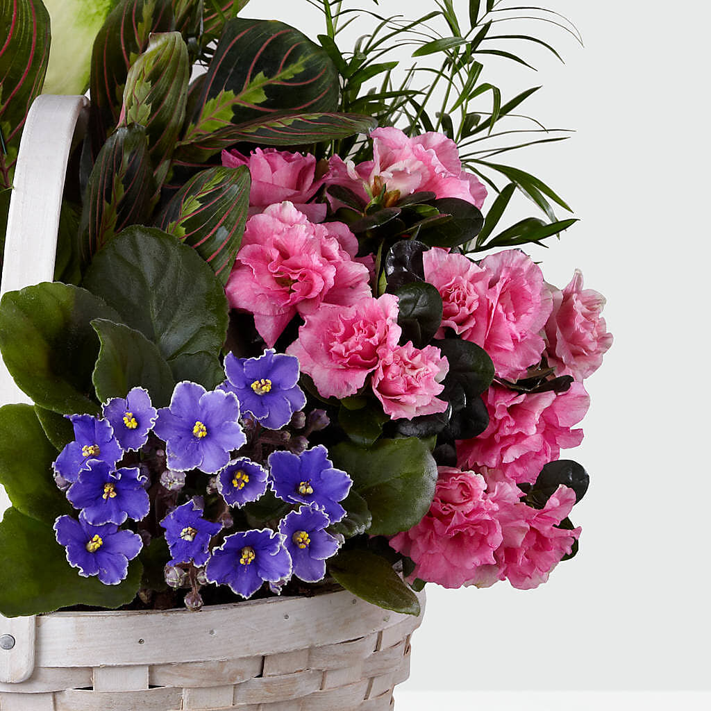 Peaceful Garden Planter –  Floral Art Designs, Arlington MA