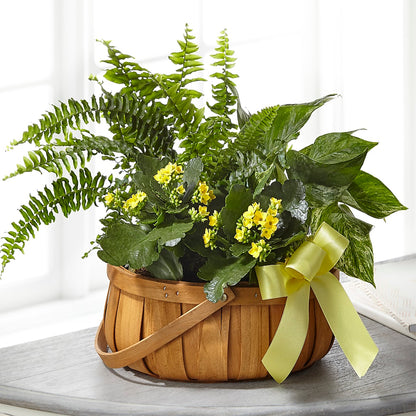 Always Dear Dishgarden –  Floral Art Designs, Arlington MA