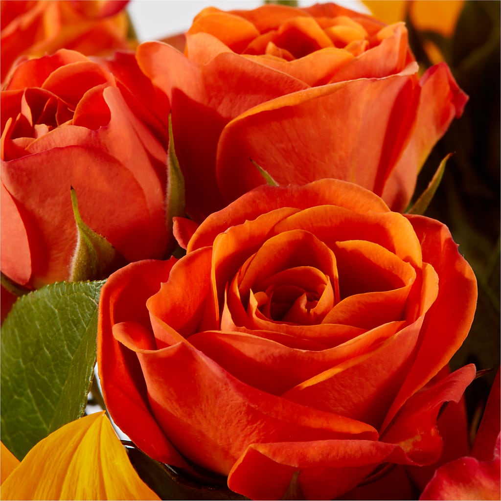 Picnic in the Park Bouquet –  Floral Art Designs, Arlington MA