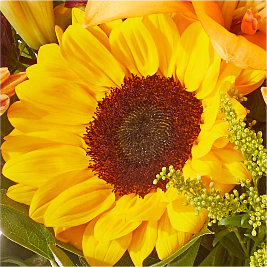 Seasons Change Bouquet –  Floral Art Designs, Arlington MA