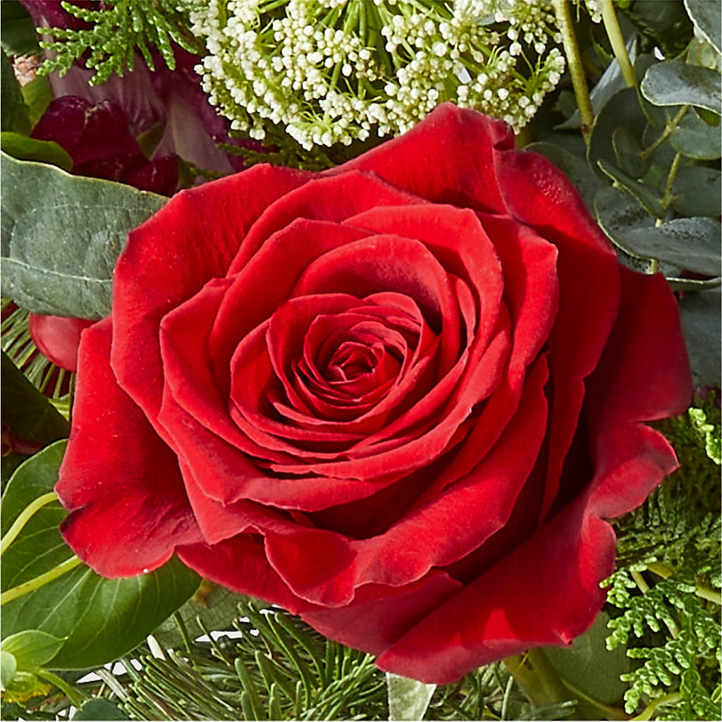 Cranberry Fizz Bouquet –  Floral Art Designs, Arlington MA