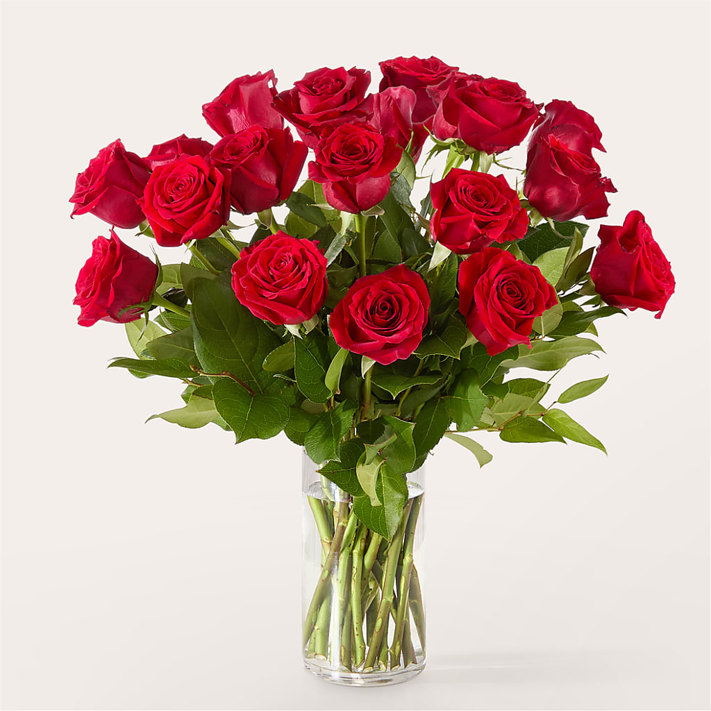 The One Red Rose Bouquet –  Floral Art Designs, Arlington MA