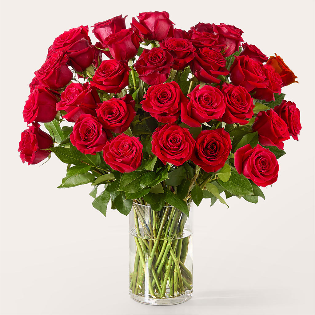 The One Red Rose Bouquet –  Floral Art Designs, Arlington MA