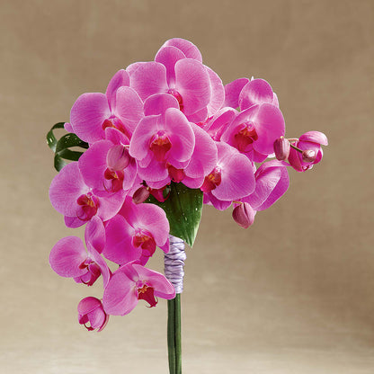 Glorious Bouquet –  Floral Art Designs, Arlington MA