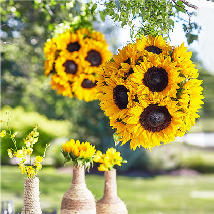 Sublime Garden Hanging Arrangement –  Floral Art Designs, Arlington MA