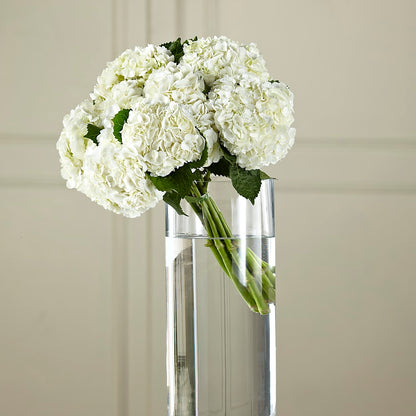 White Hydrangea Hand-Tied Bouquet –  Floral Art Designs, Arlington MA