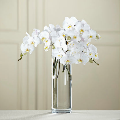 White Phalaenopsis Bouquet –  Floral Art Designs, Arlington MA