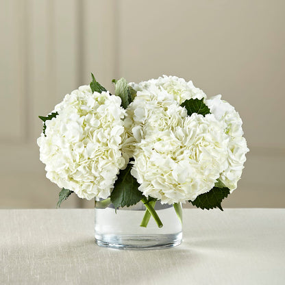 White Hydrangea Bouquet –  Floral Art Designs, Arlington MA
